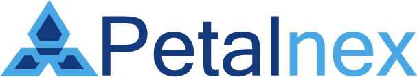 Petalnex Logo in The7 Header - Portfolio Web Design & Development Services.AI-Powered Web Development